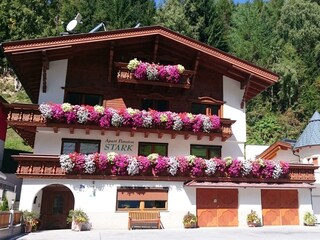 DSC_0227_zugeschnitten