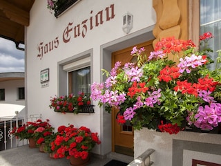 Hausansicht Sommer -  Blumen