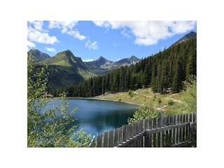 Dias Sommer Bick auf den See