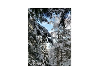 Martha beim Winterspaziergang