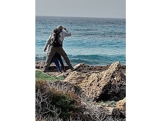 Chalet Sa Rapita Umgebung 25