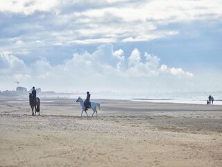 Appartamento Wenduine Ambiente 16
