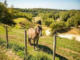 Casa per le vacanze Margraten Ambiente 40