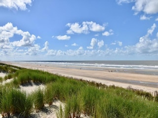 Appartement Wenduine Omgeving 23