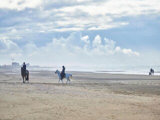 Appartement Wenduine Omgeving 36