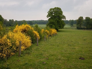 Parc de vacances Ootmarsum Environnement 31