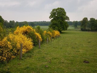 Vakantiepark Ootmarsum Omgeving 31