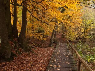 Parc de vacances Ootmarsum Environnement 20