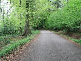Parc de vacances Ootmarsum Environnement 26