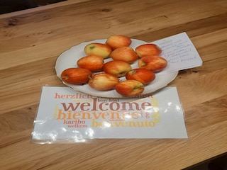 Vakantiehuis Vabriga  36