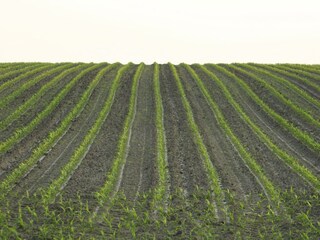 Parque de vacaciones Ootmarsum Entorno 20