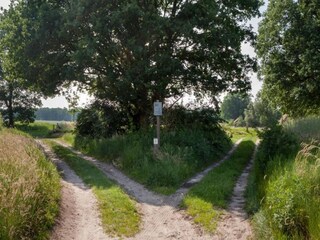 Parque de vacaciones Ootmarsum Entorno 28