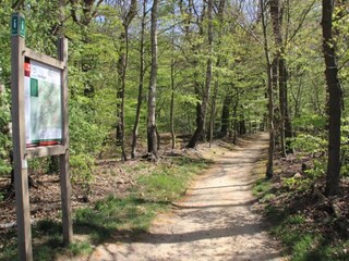 Vakantiepark Ootmarsum Omgeving 28