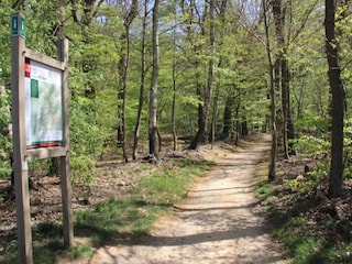Ferienpark Ootmarsum Umgebung 21