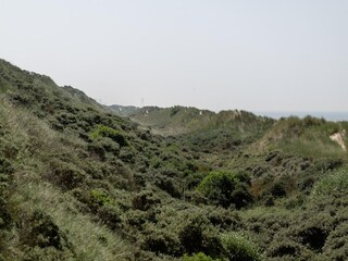 Appartement Wenduine Omgeving 42