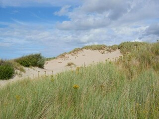 Appartement Wenduine Environnement 54