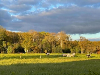 Ferienpark Delfstrahuizen Umgebung 26