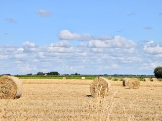 Appartamento Wenduine Ambiente 33