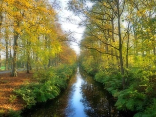 Ferienpark Delfstrahuizen Umgebung 22