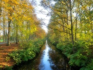 Parc de vacances Delfstrahuizen Environnement 22