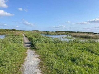 Parc de vacances Delfstrahuizen Environnement 38