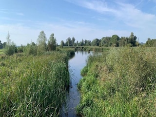 Ferienhaus Uitwellingerga Umgebung 35