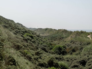 Appartement Wenduine Omgeving 15