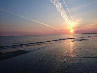 Appartement Wenduine Environnement 20