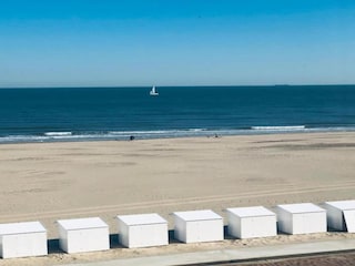 Appartement Wenduine Omgeving 25