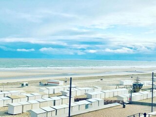 Apartamento Wenduine Entorno 36