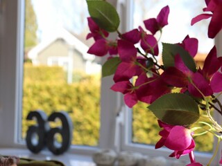 Holiday house Tzummarum  43