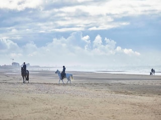 Appartement Wenduine Omgeving 15