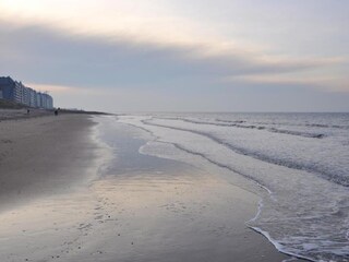 Apartment Wenduine Umgebung 16