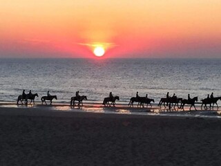 Apartment Wenduine Umgebung 22