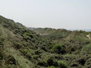 Villa Wenduine Environnement 18