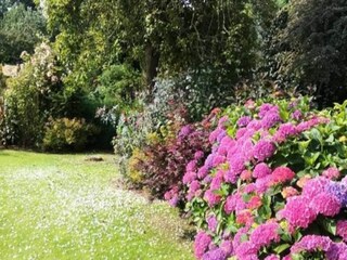 Appartement Saint-Martin-en-Campagne  7