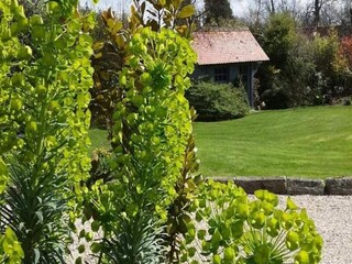 Appartement Saint-Martin-en-Campagne  15