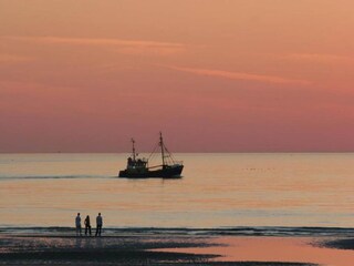 Appartement De Haan Environnement 13