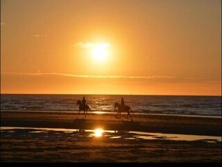 Apartment De Haan Environment 11