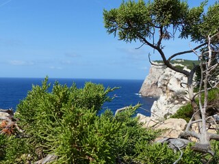 Appartamento Olbia Ambiente 28