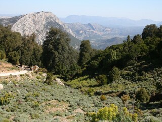 Apartamento Olbia Entorno 36