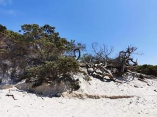 Appartement Alghero Omgeving 28