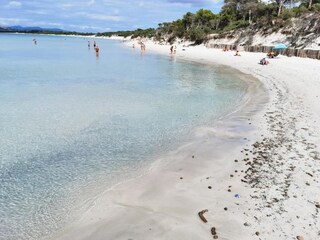 Appartamento Alghero Ambiente 33