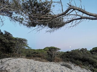 Appartement Alghero Omgeving 39