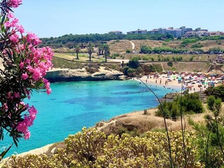 Appartement Sassari Environnement 26