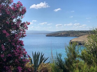 Apartamento Sassari Entorno 23