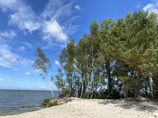 Ferienhaus Zingst Umgebung 28