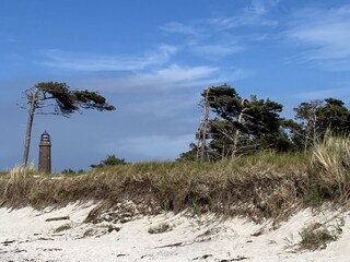 Ferienhaus Zingst Umgebung 30