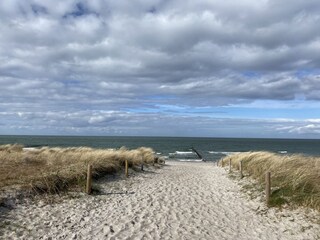 Ferienhaus Zingst Umgebung 31