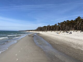 Ferienhaus Zingst Umgebung 32
